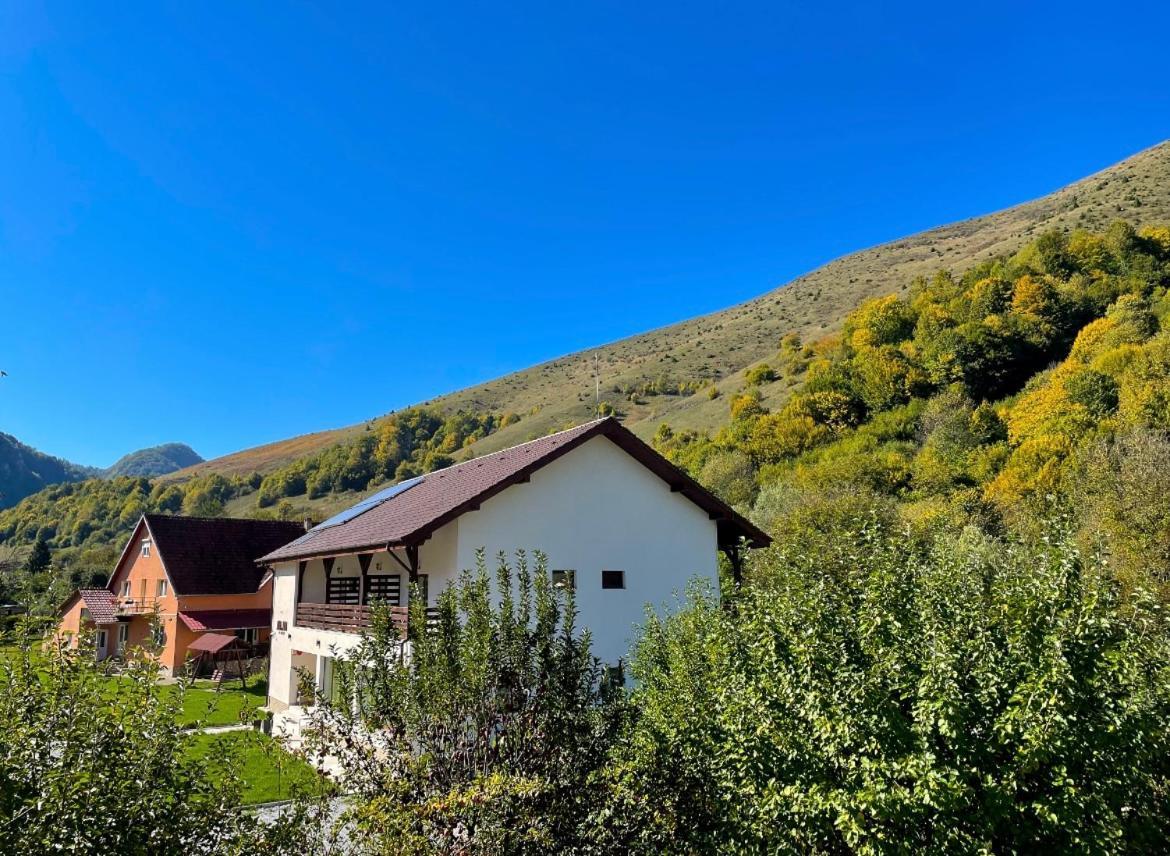 Pensiunea AN de AN Onceşti Exterior foto