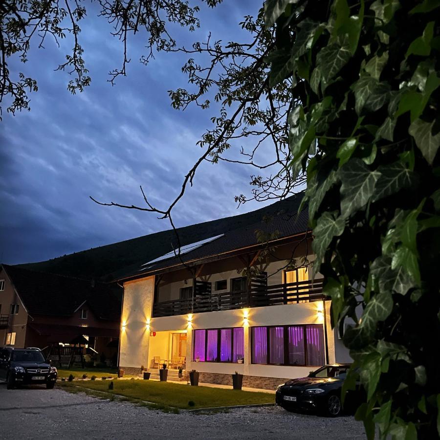 Pensiunea AN de AN Onceşti Exterior foto