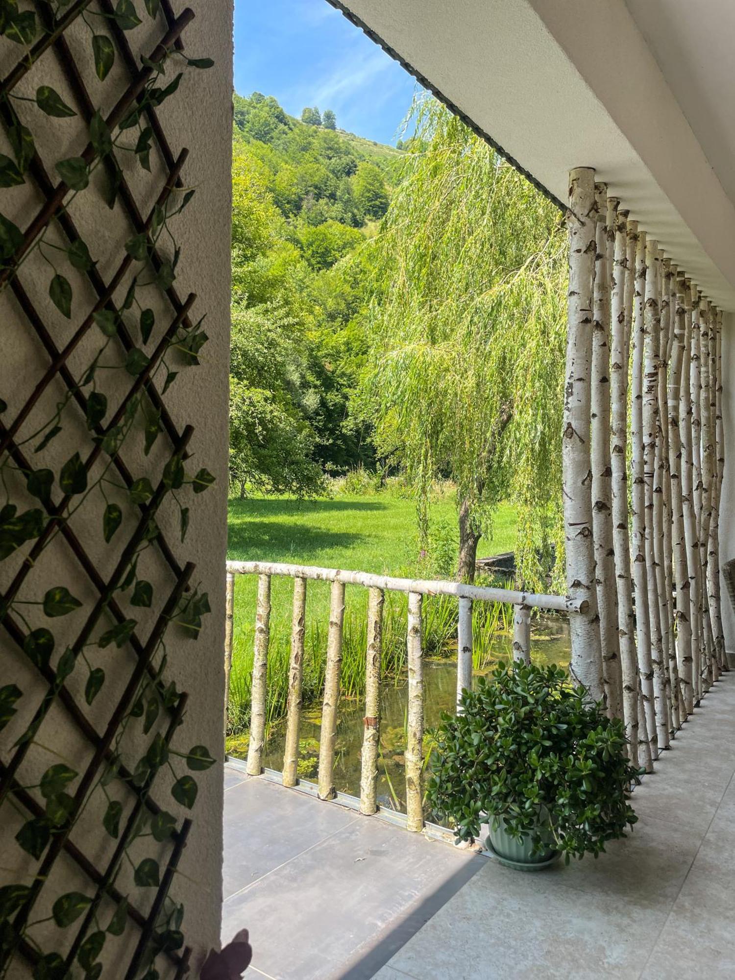 Pensiunea AN de AN Onceşti Exterior foto