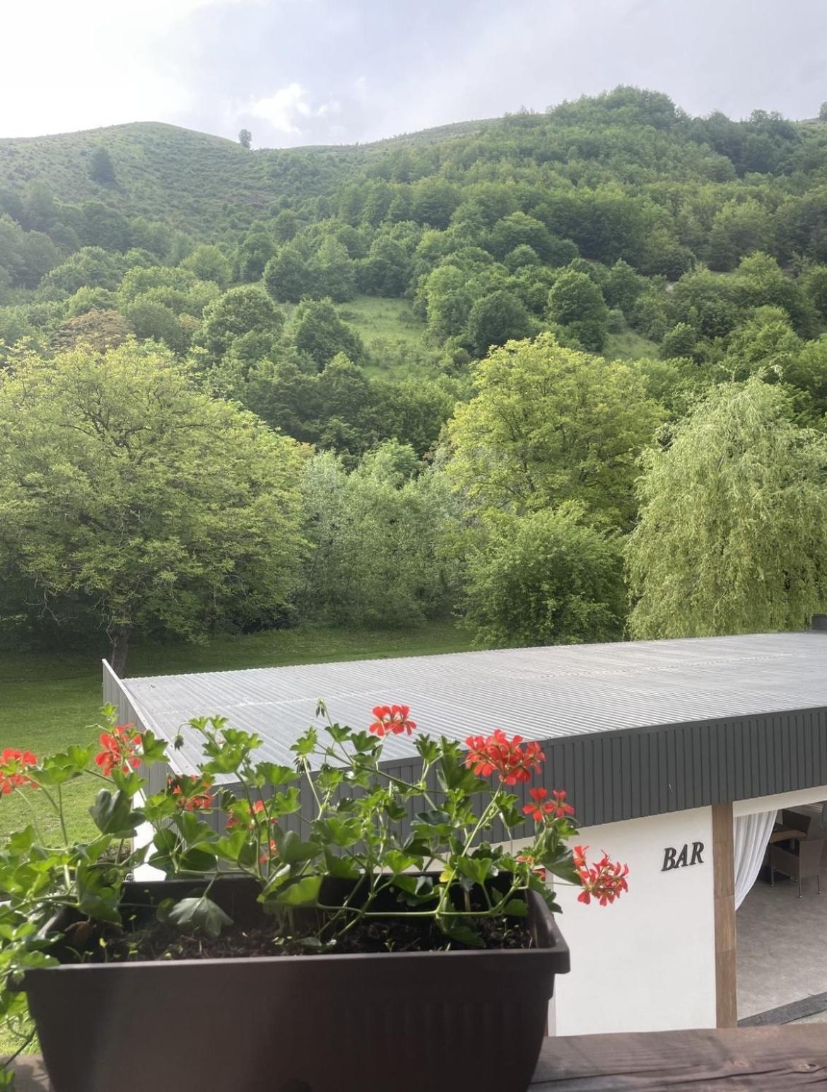 Pensiunea AN de AN Onceşti Exterior foto