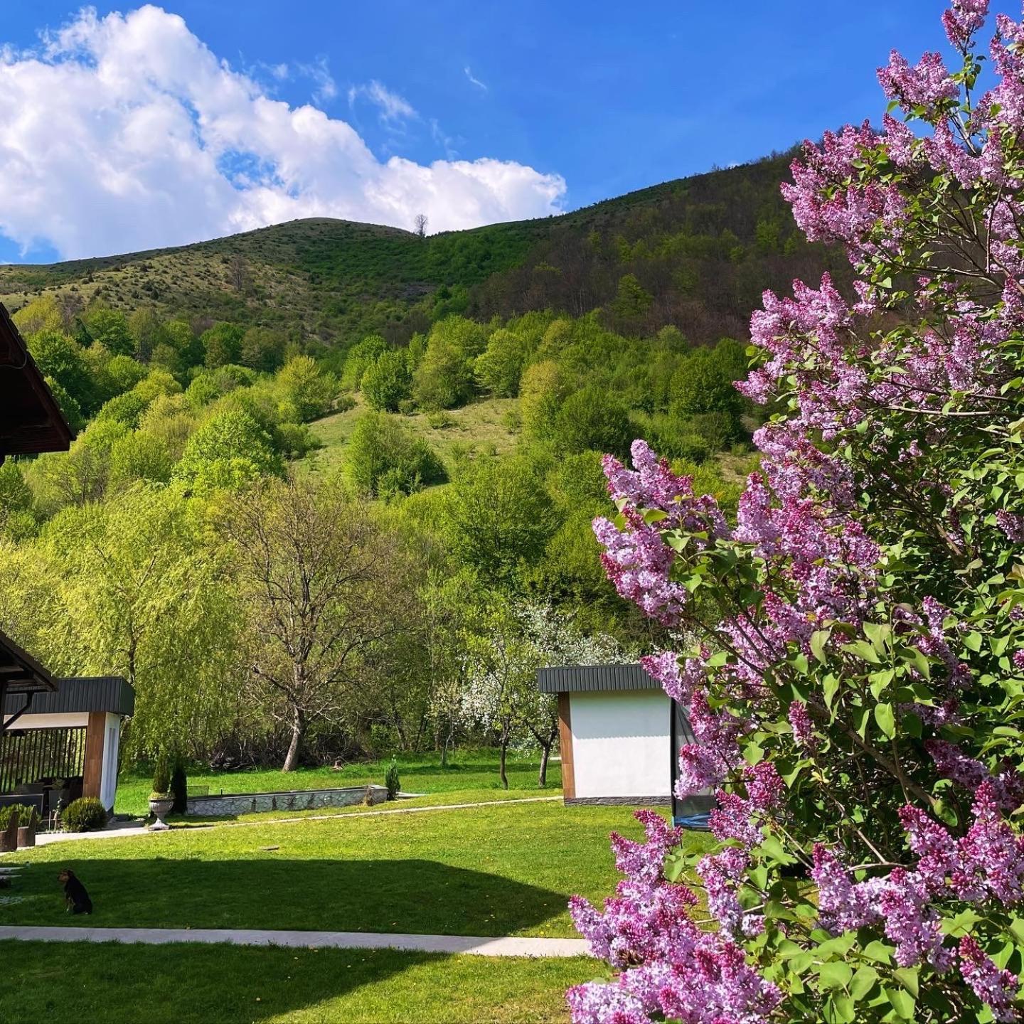 Pensiunea AN de AN Onceşti Exterior foto